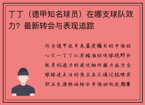 丁丁（德甲知名球员）在哪支球队效力？最新转会与表现追踪